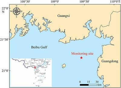 Three types of pulsed signal trains emitted by Indo-Pacific humpback dolphins (Sousa chinensis) in Beibu Gulf, South China Sea